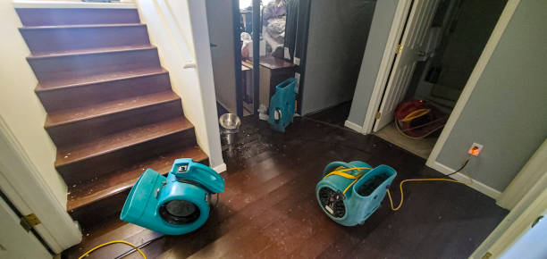 Best Ceiling water damage repair  in Lake Odessa, MI