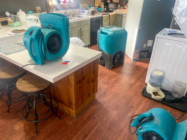 Best Water damage restoration near me  in Lake Odessa, MI