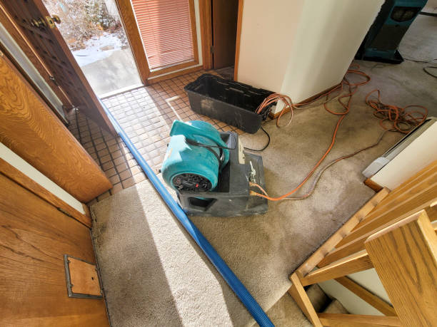 Water damage restoration insurance claims in Lake Odessa, MI