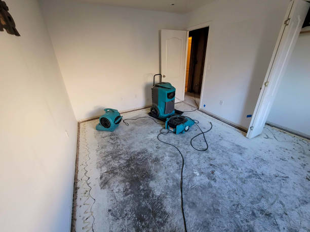 Best Local water damage restoration  in Lake Odessa, MI