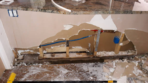 Best 24/7 water damage repair  in Lake Odessa, MI