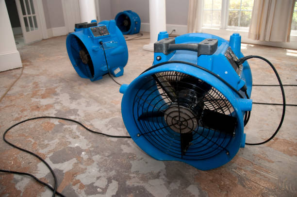 Carpet water damage restoration in Lake Odessa, MI