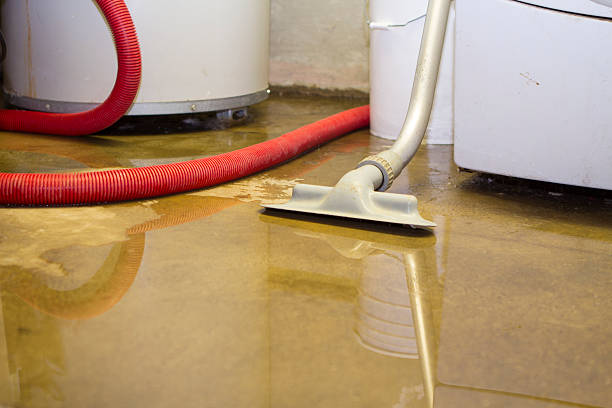 Best Water damage restoration insurance claims  in Lake Odessa, MI