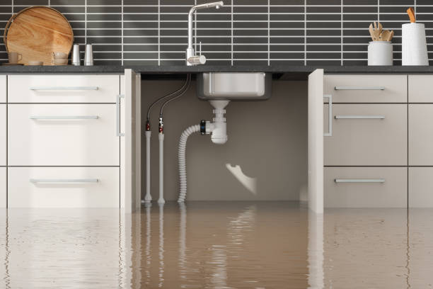 Best Flood restoration services  in Lake Odessa, MI