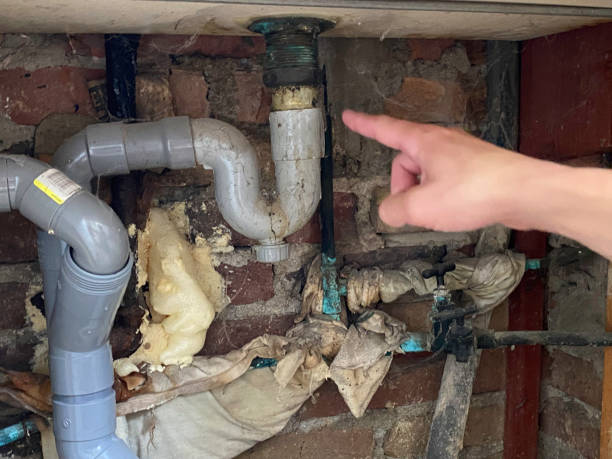 Best Professional water damage repair  in Lake Odessa, MI