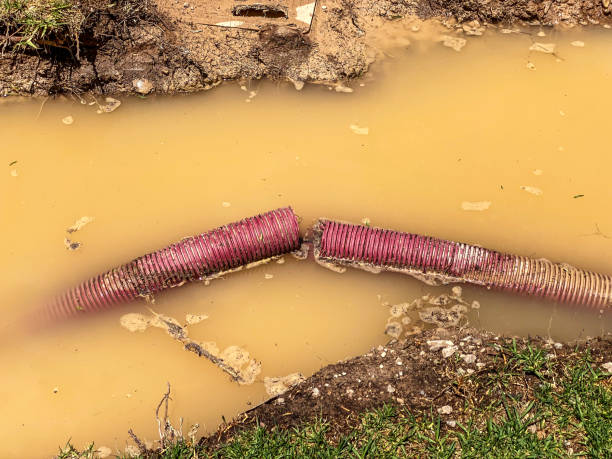 Best Carpet water damage restoration  in Lake Odessa, MI