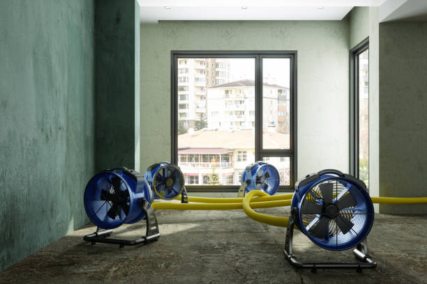 Best Sewage cleanup and water damage restoration  in Lake Odessa, MI